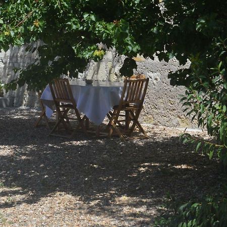 Gite Dans Le Vignoble De Bourgueil Le Port Boulet Eksteriør bilde