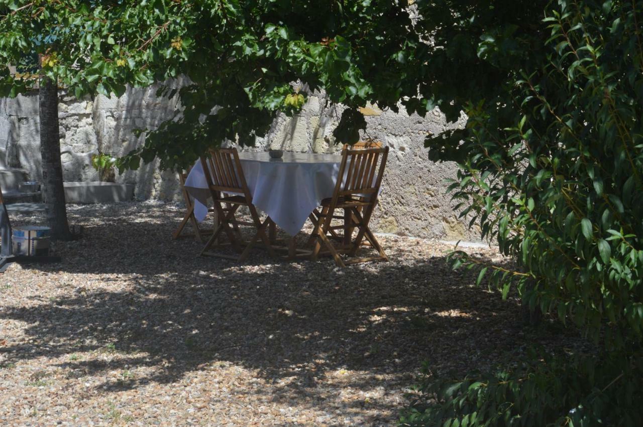 Gite Dans Le Vignoble De Bourgueil Le Port Boulet Eksteriør bilde