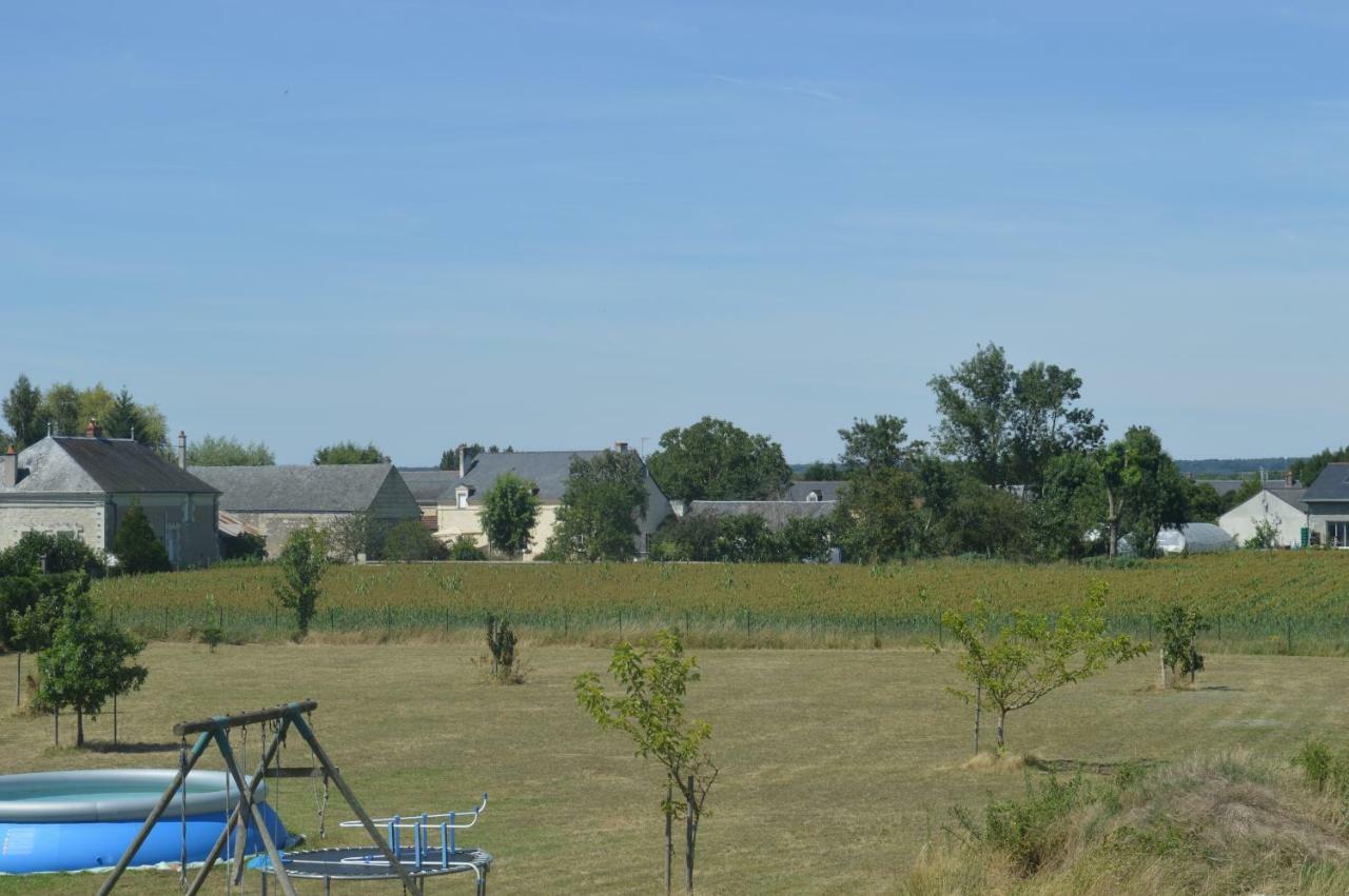 Gite Dans Le Vignoble De Bourgueil Le Port Boulet Eksteriør bilde