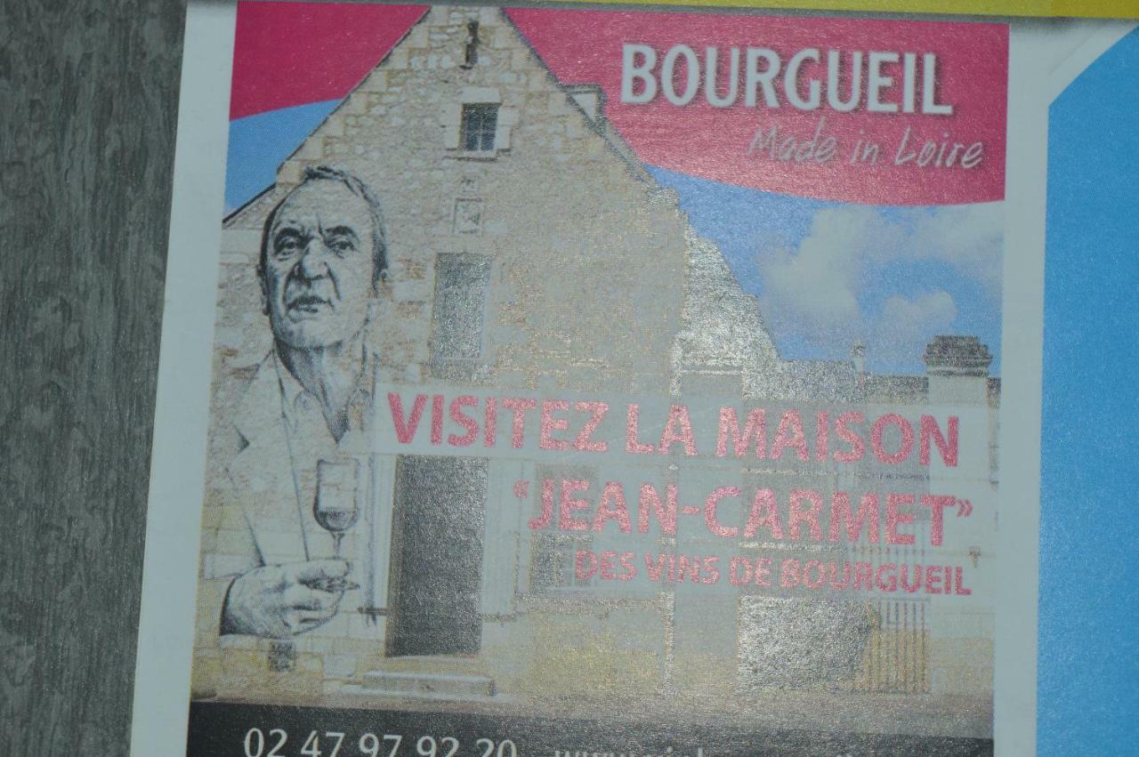 Gite Dans Le Vignoble De Bourgueil Le Port Boulet Eksteriør bilde