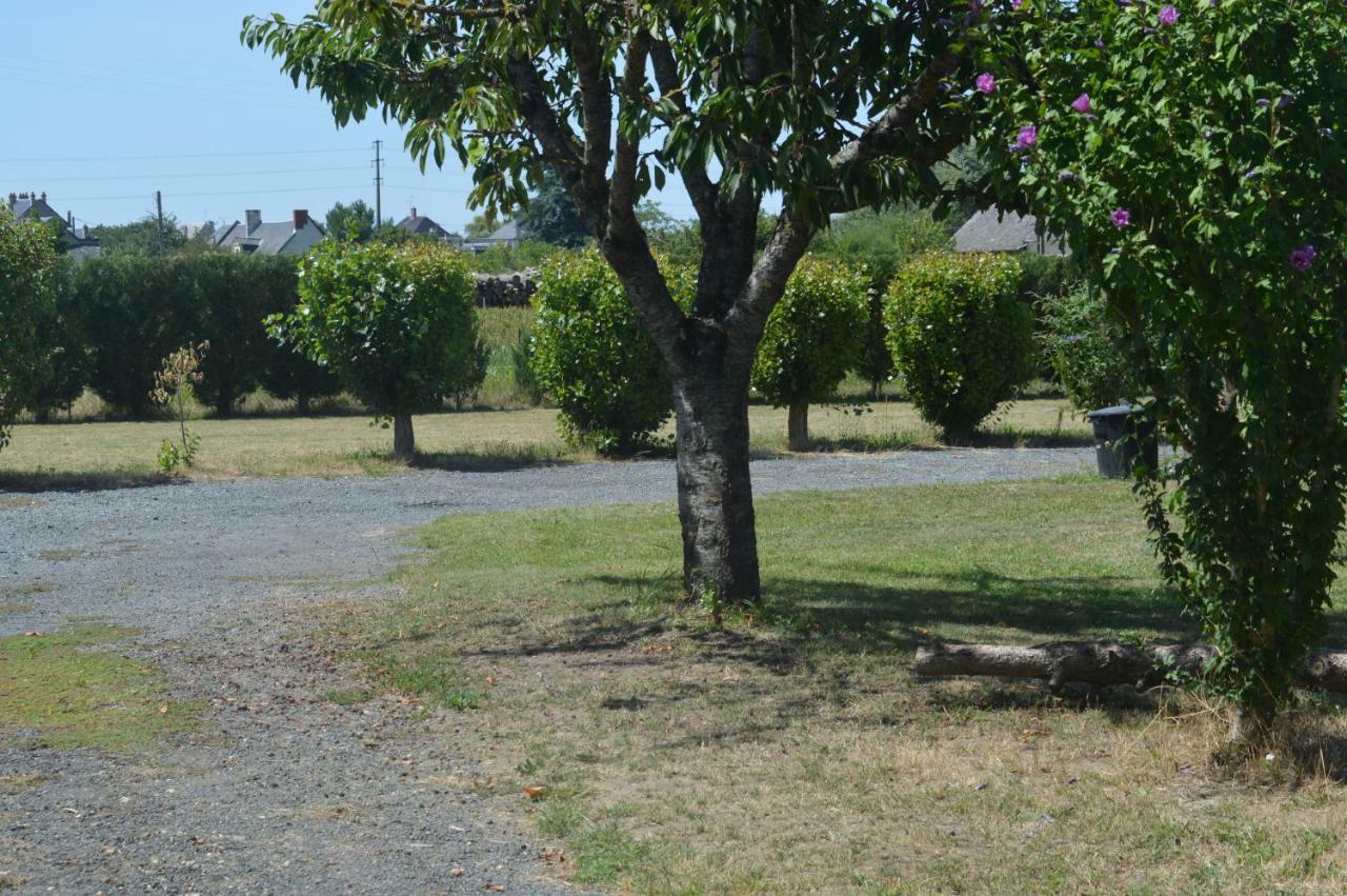 Gite Dans Le Vignoble De Bourgueil Le Port Boulet Eksteriør bilde