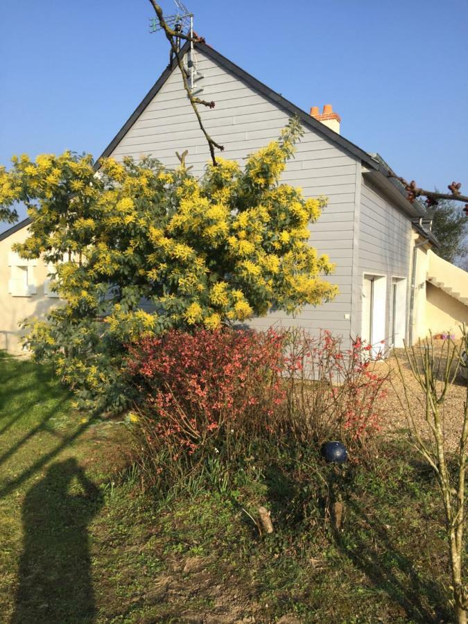 Gite Dans Le Vignoble De Bourgueil Le Port Boulet Eksteriør bilde